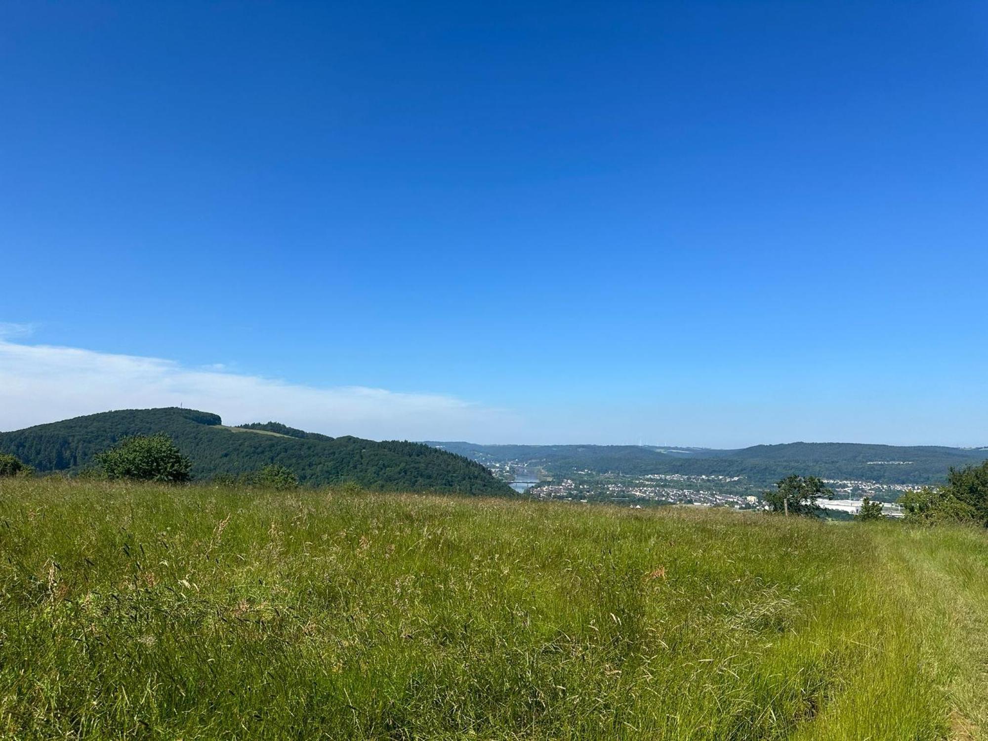Ruwer Mosel Apartment Trier